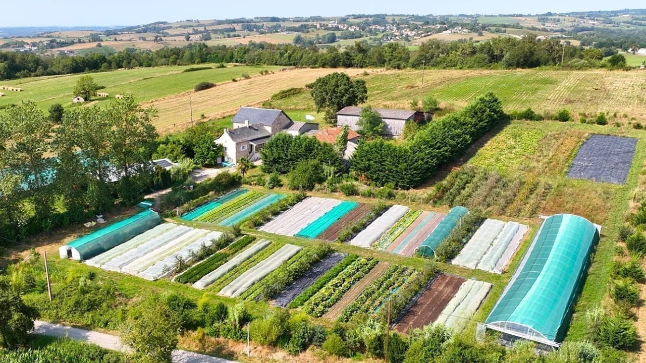 Canteros permanentes en cultivo hortícola