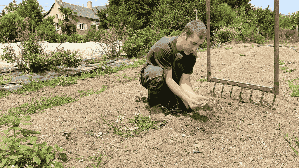 Aporte de compost en superficie sobre un cantero