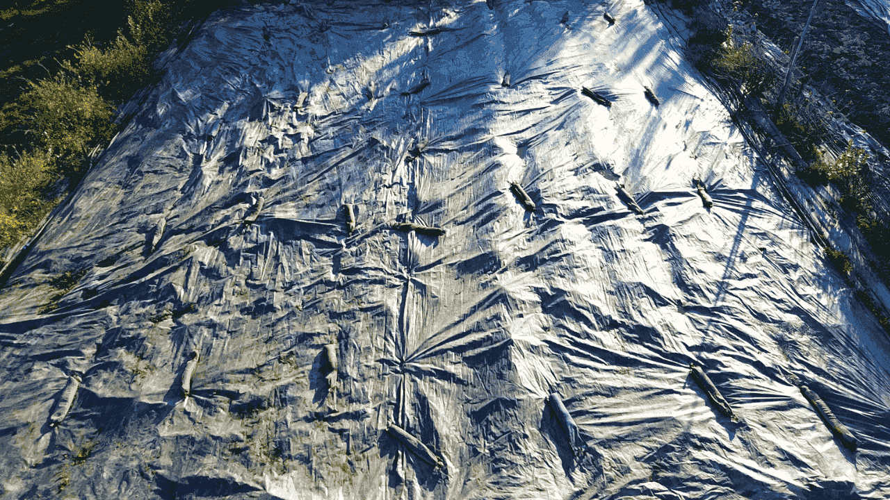 Winter tarp well stretched and weighted on the market garden beds