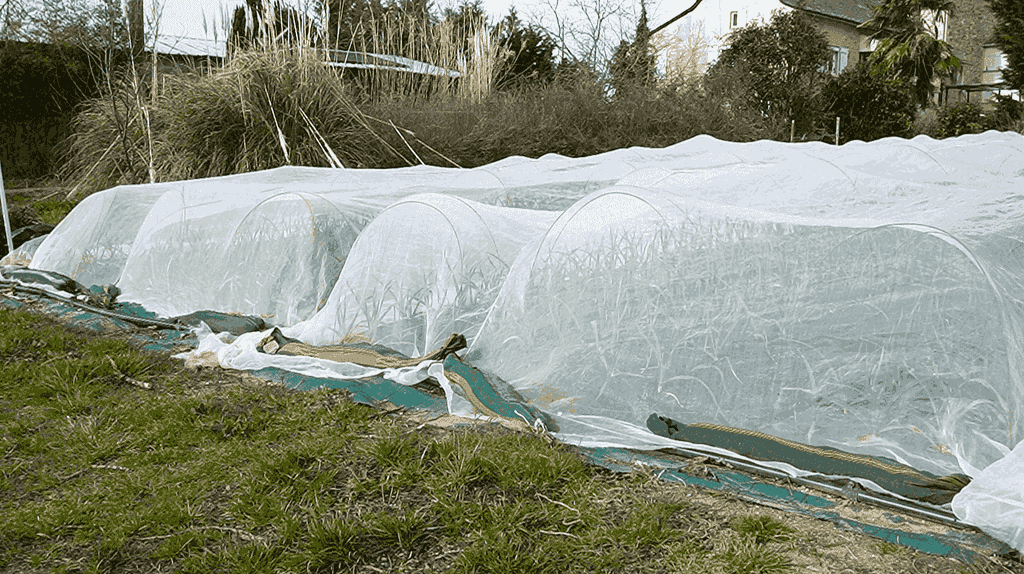 Esquema de colocación y fijación de una malla anti-insectos en un cantero hortícola