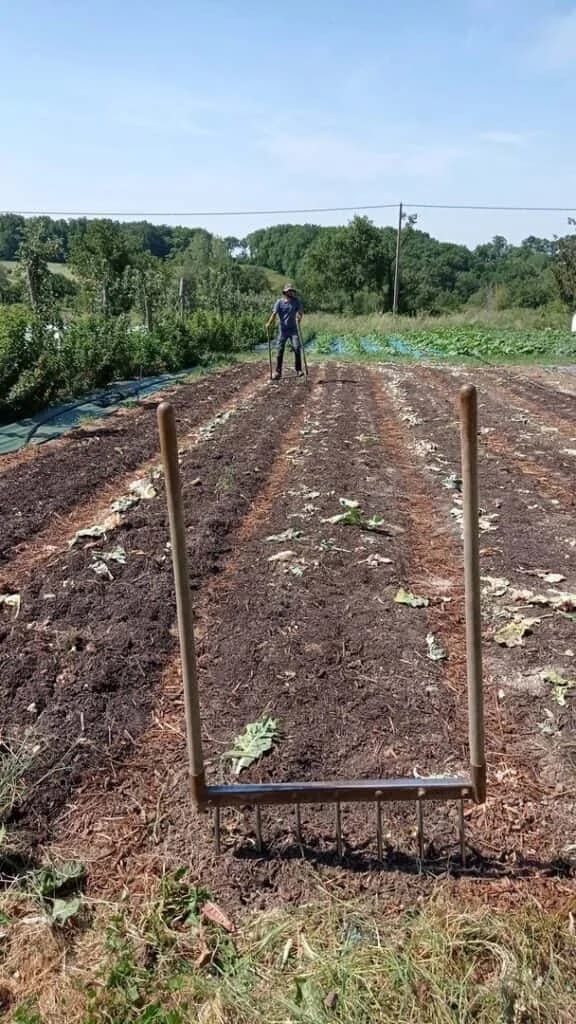 Détail des dents de la grelinette enfoncées dans le sol