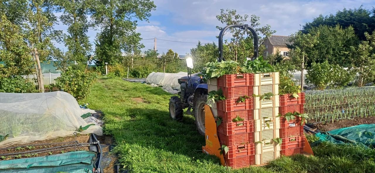Allée centrale et organisation des planches sur la microferme