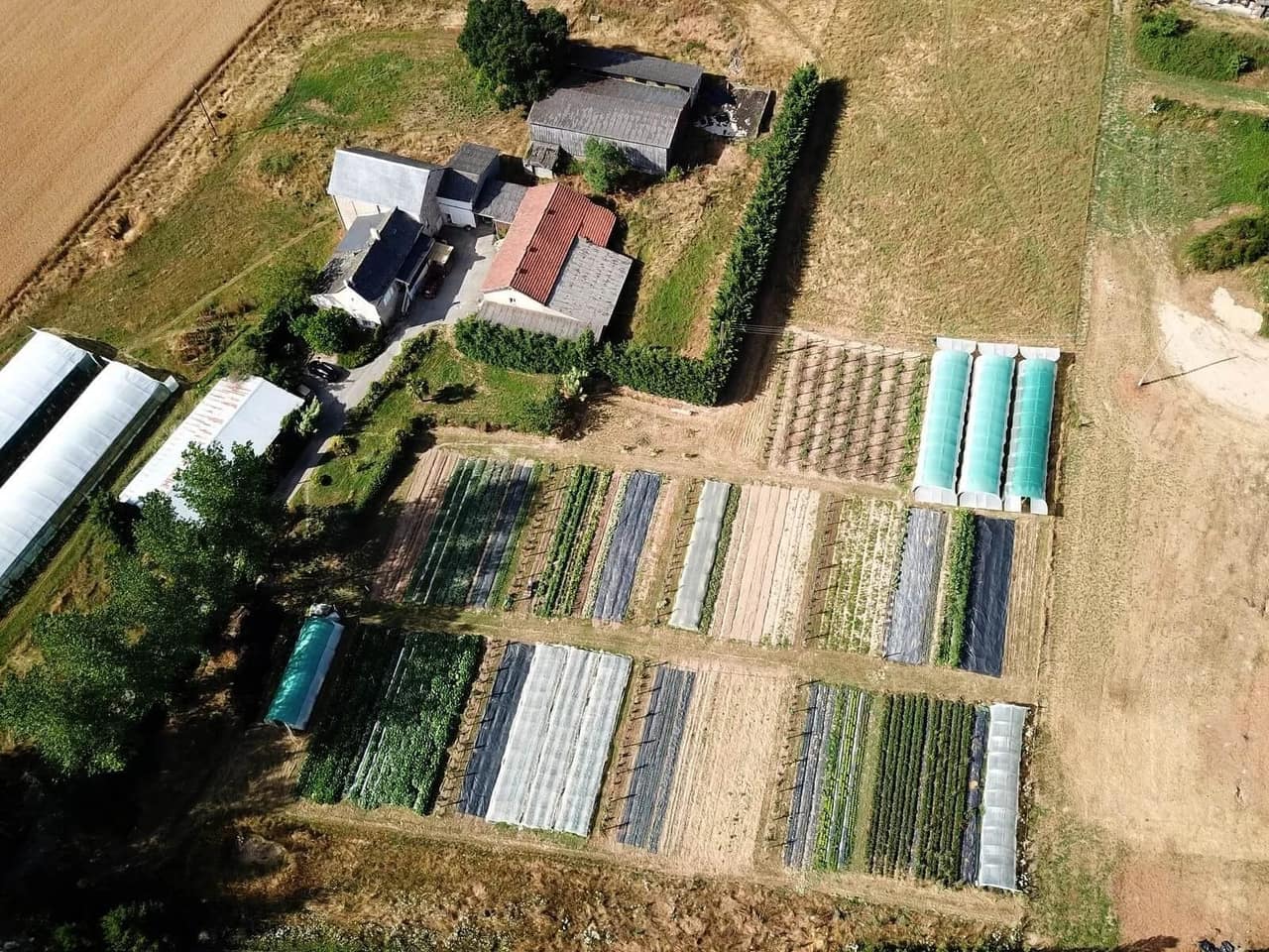 Planches de cultures diversifiées en bio-intensif