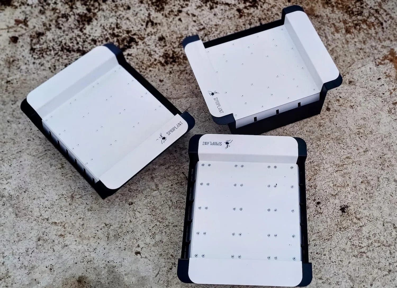 Tray of blocks formed with the Spidmot
