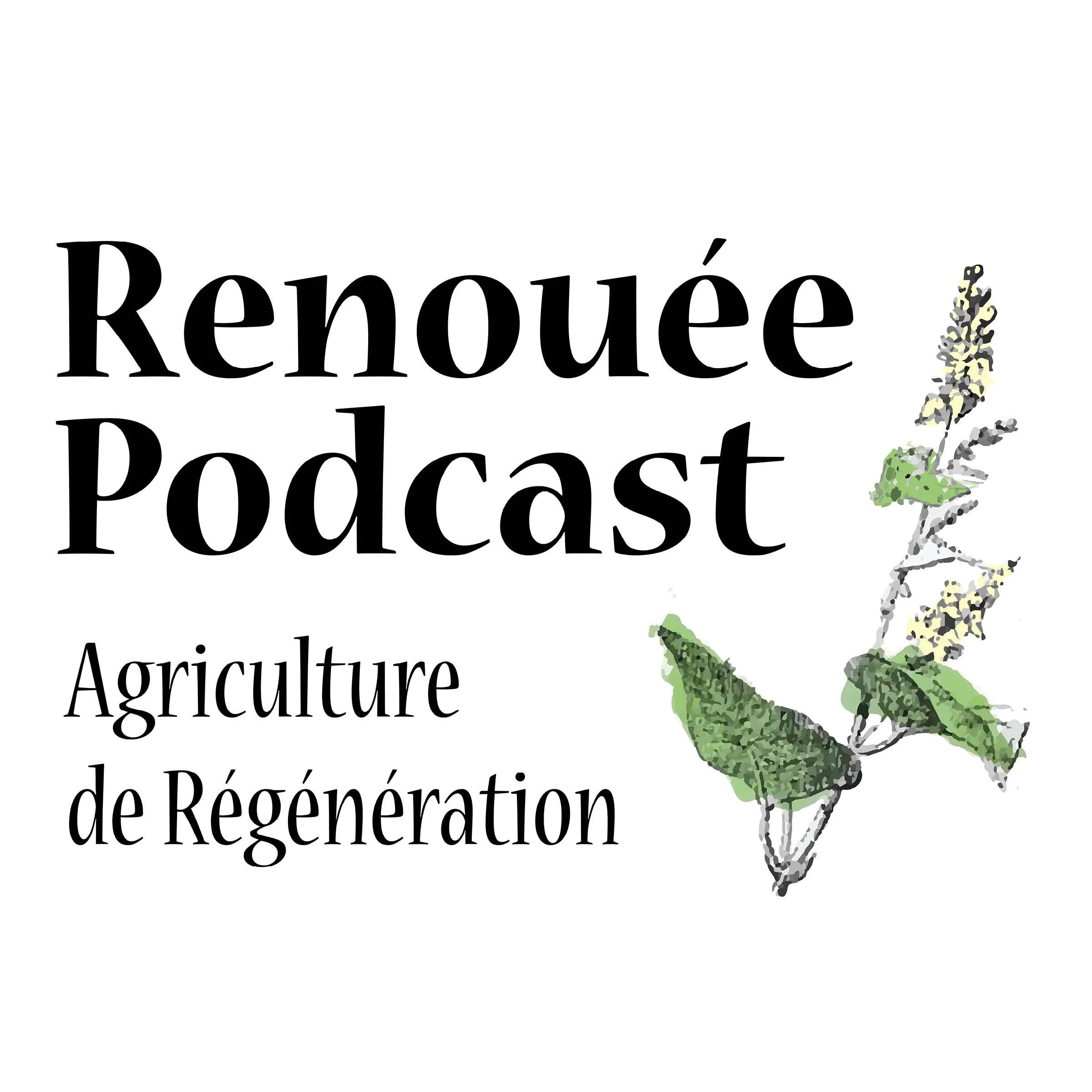 Podcast Renoué - Bio-intensivo: la rentabilidad de una microgranja